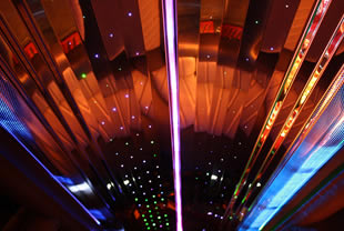 Starlight ceiling and mirrors inside car