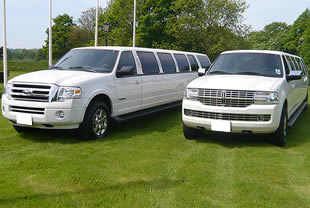 2 white limousiens on display in garden setting