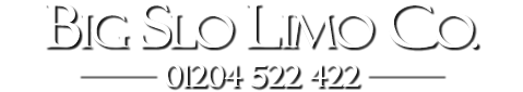 Big Slo Limo Co. Ltd company logo