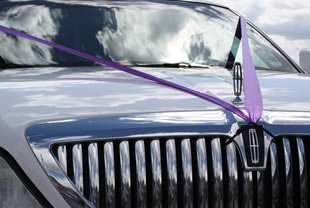 Purple wedding ribbons attached to car